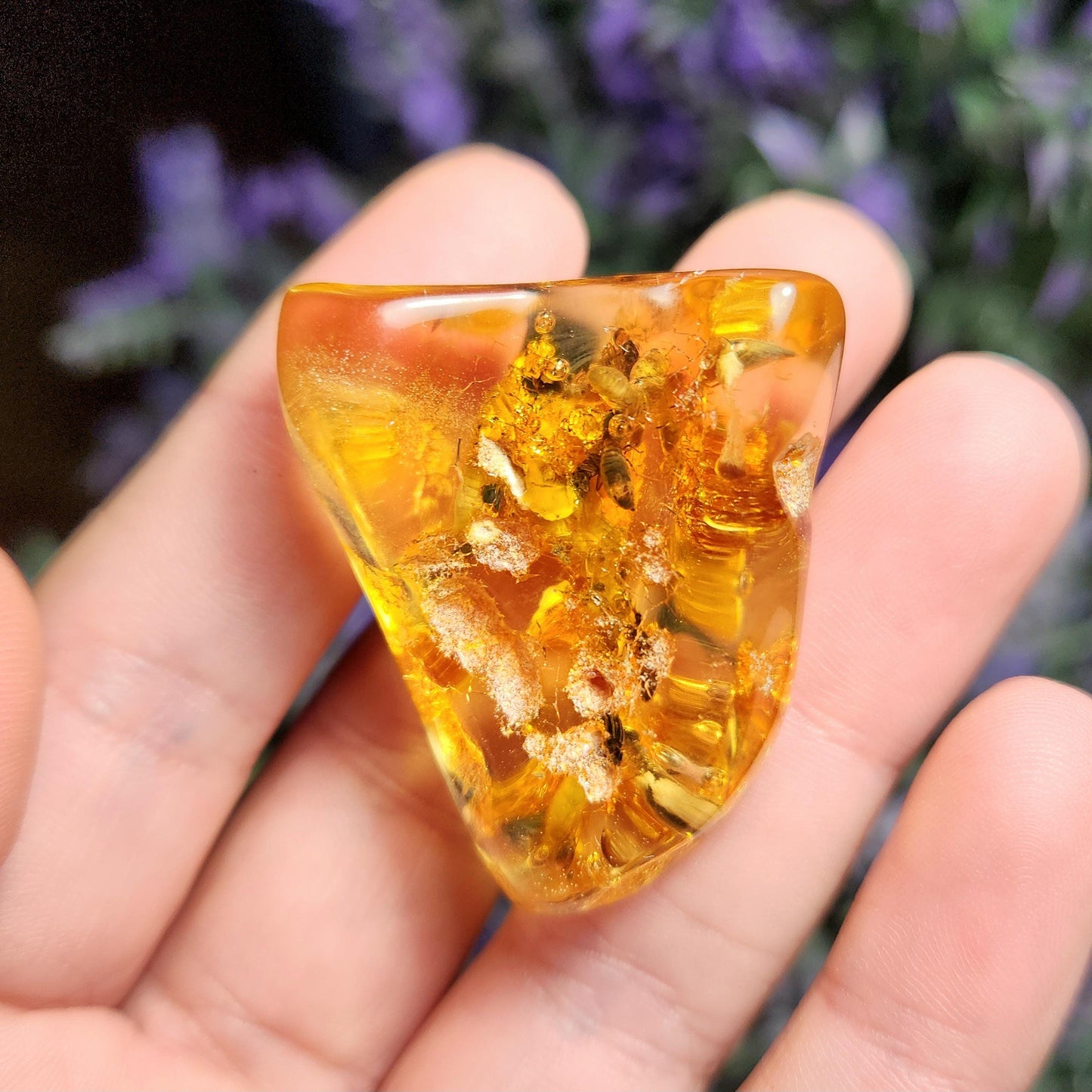 Enhydro AMBER with Bugs