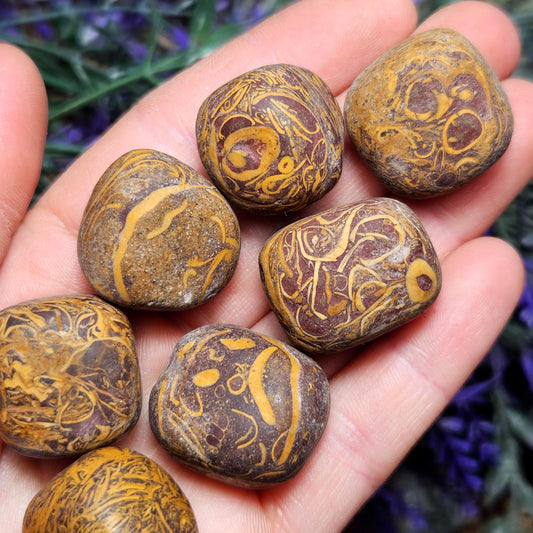 Sanskrit Stone