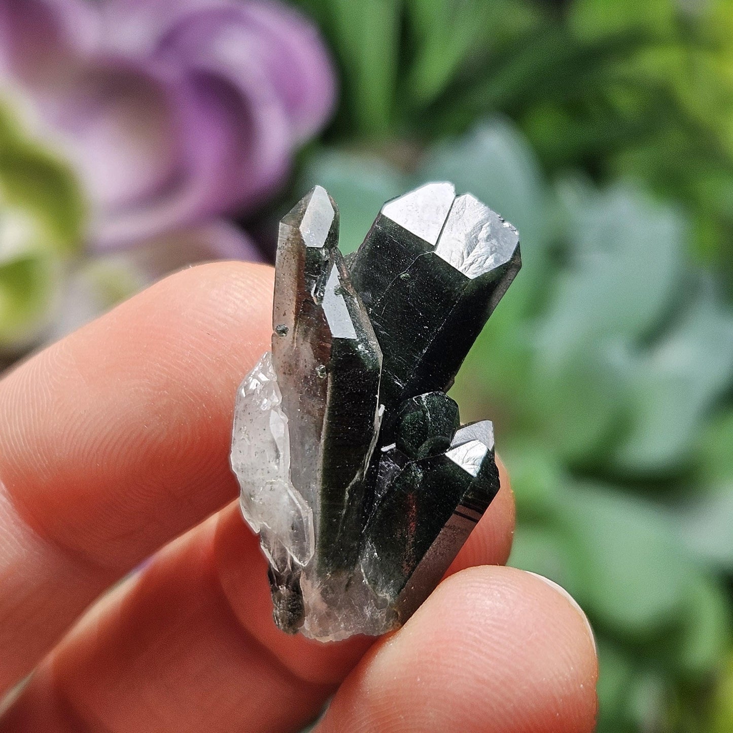 Green Phantom Himalayan Quartz