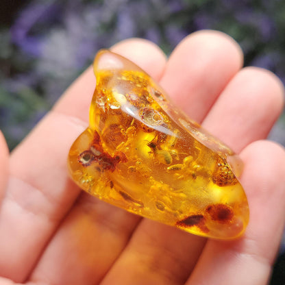MOVING Enhydro AMBER with Bugs