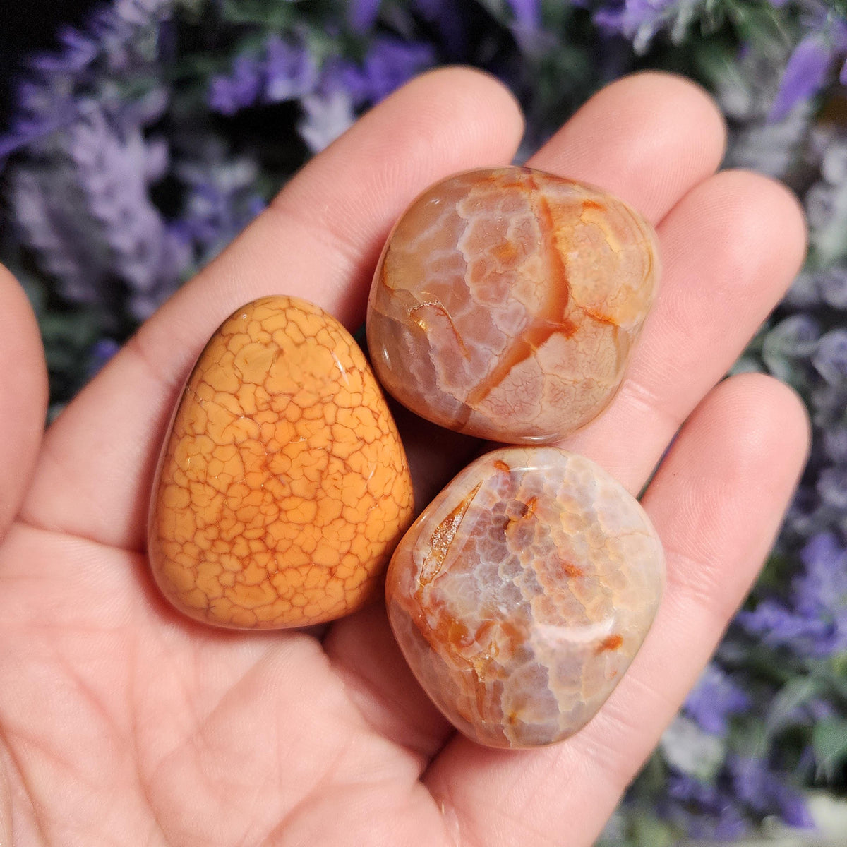 Snakeskin Carnelian Crystal (1")