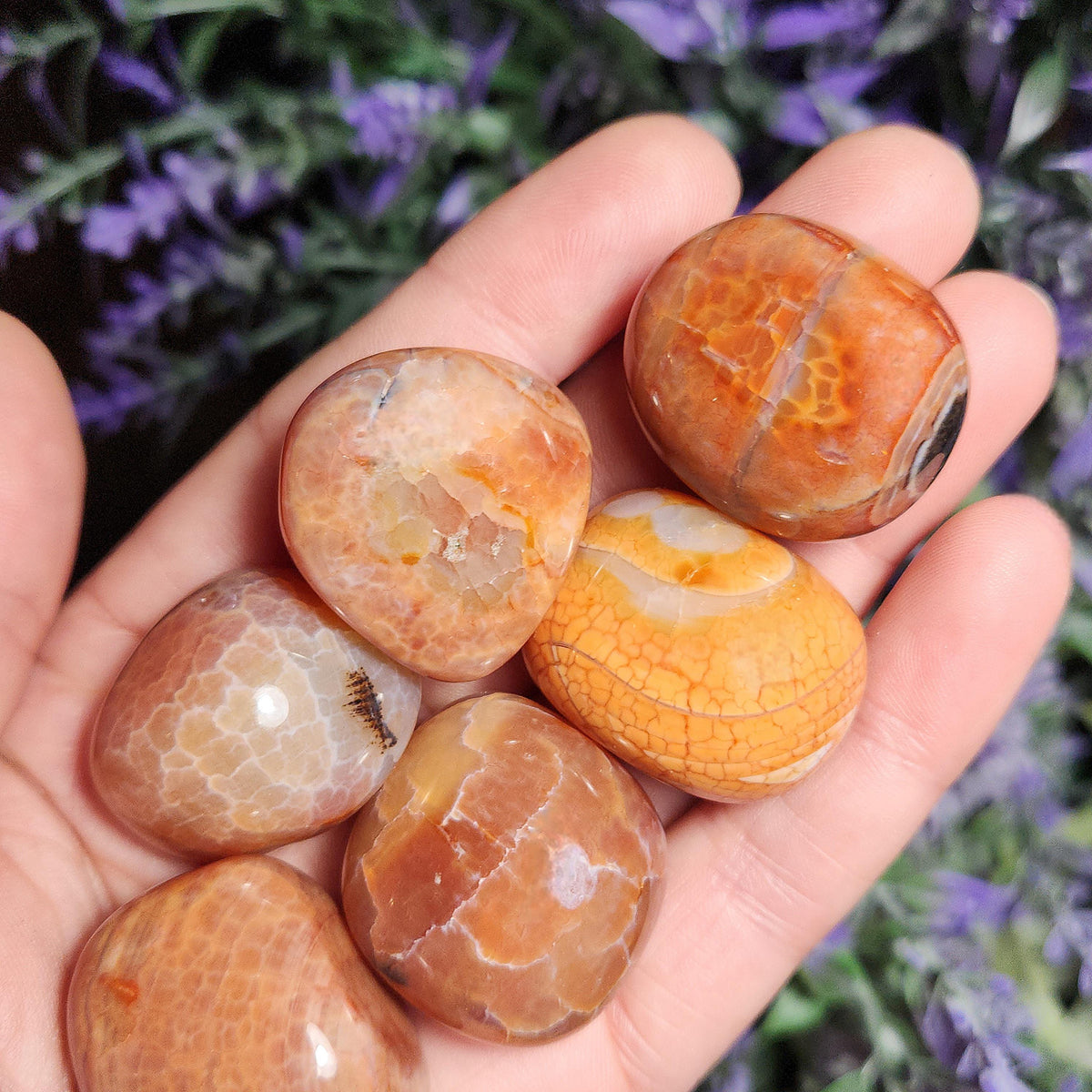 Snakeskin Carnelian Crystal (1")