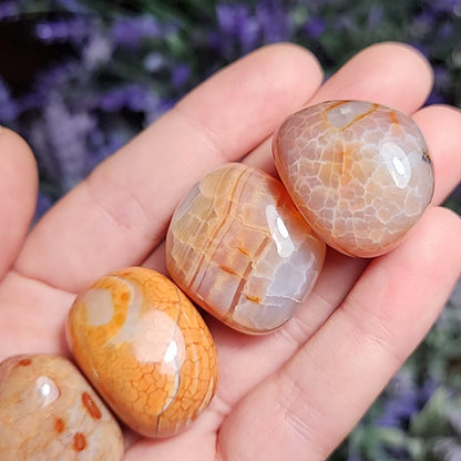 Snakeskin Carnelian Crystal (1")