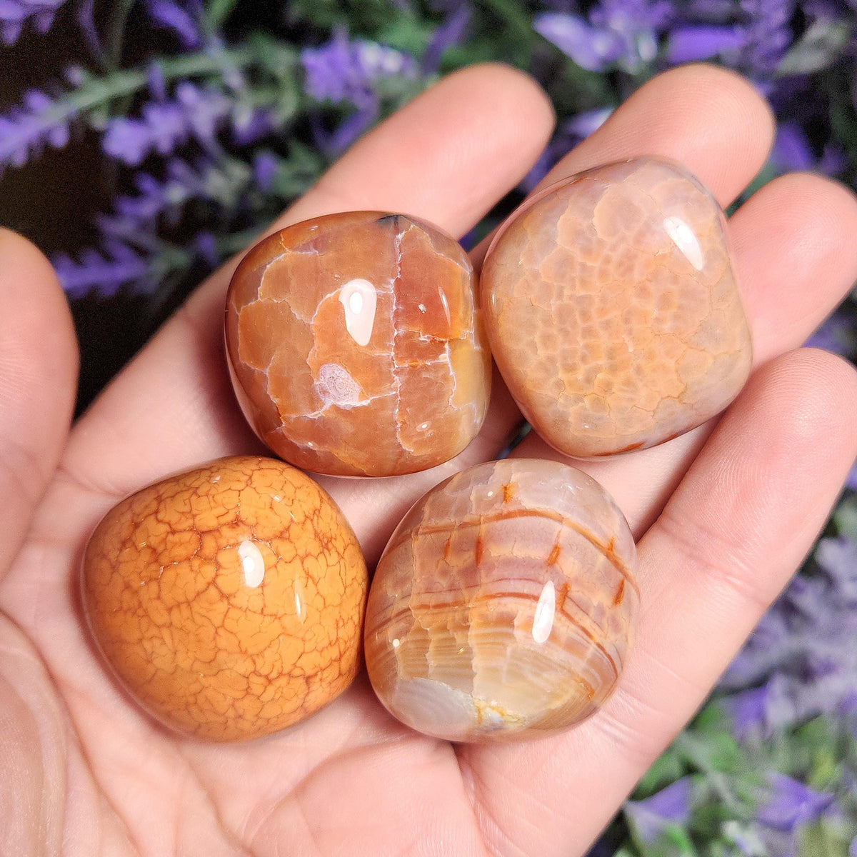 Snakeskin Carnelian Crystal (1")