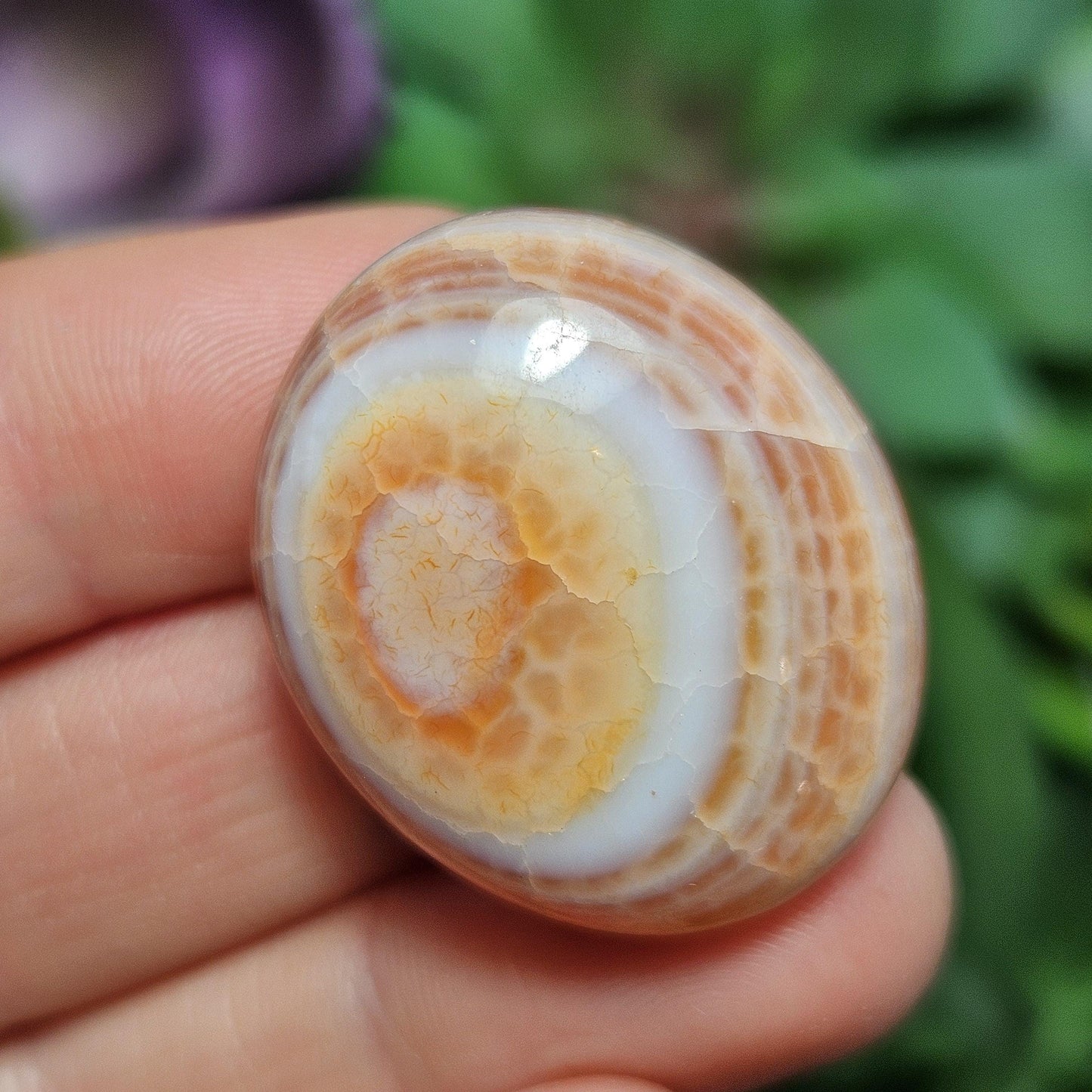 Snakeskin Agate