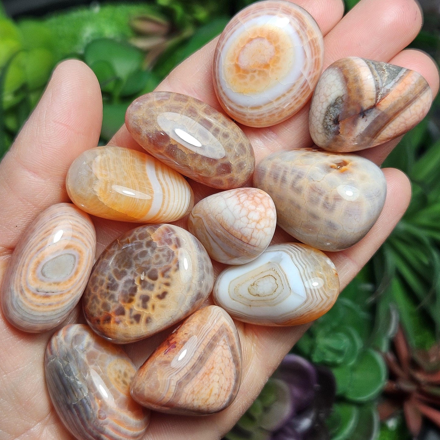 Snakeskin Agate