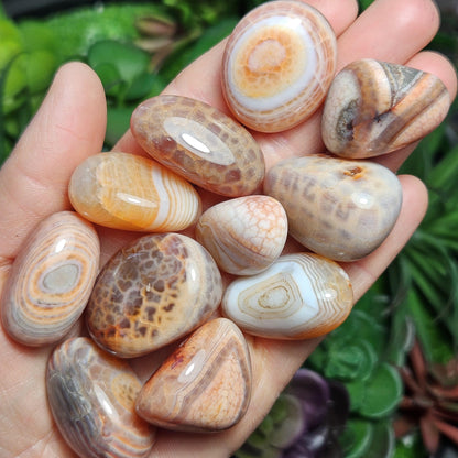 Snakeskin Agate