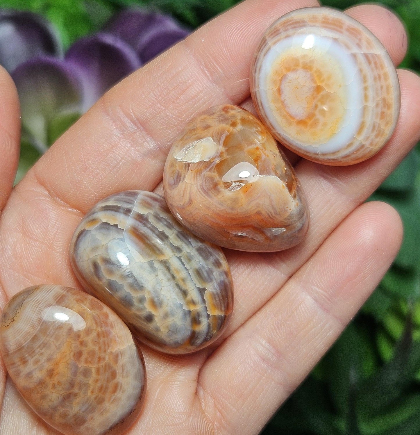 Snakeskin Agate