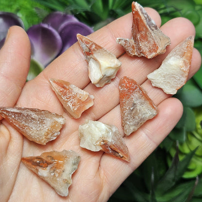 Dogtooth Red Calcite