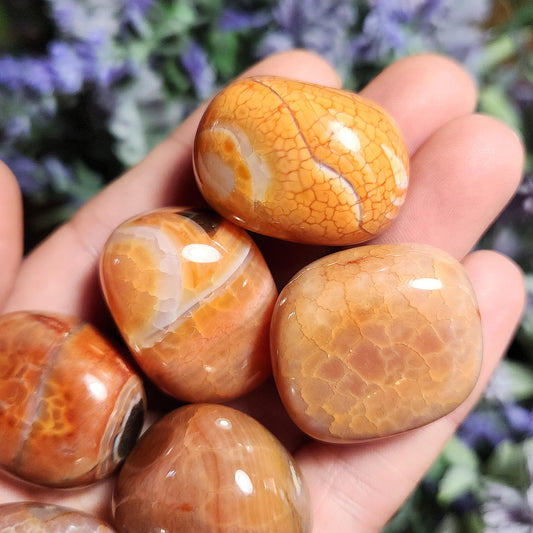 Snakeskin Carnelian