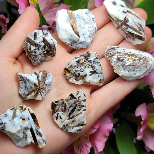 May include: A collection of eight small, white, brown, and gold crystals with a rough, natural texture. The crystals are scattered on a hand.