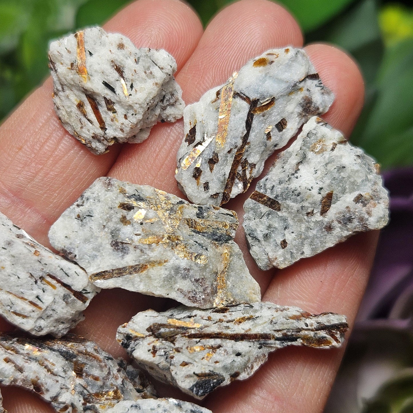 Astrophyllite Crystal