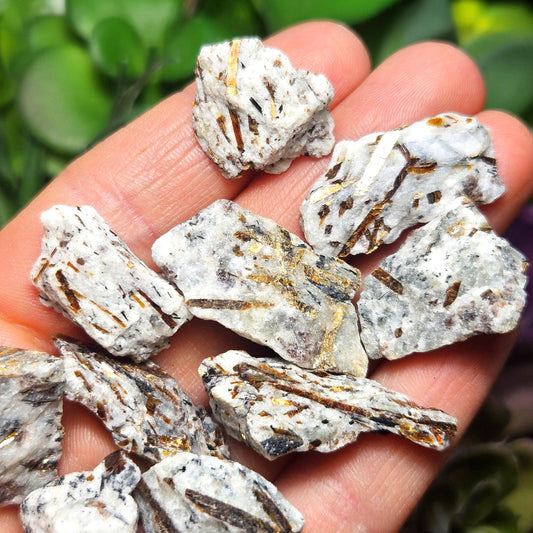 Astrophyllite Crystal