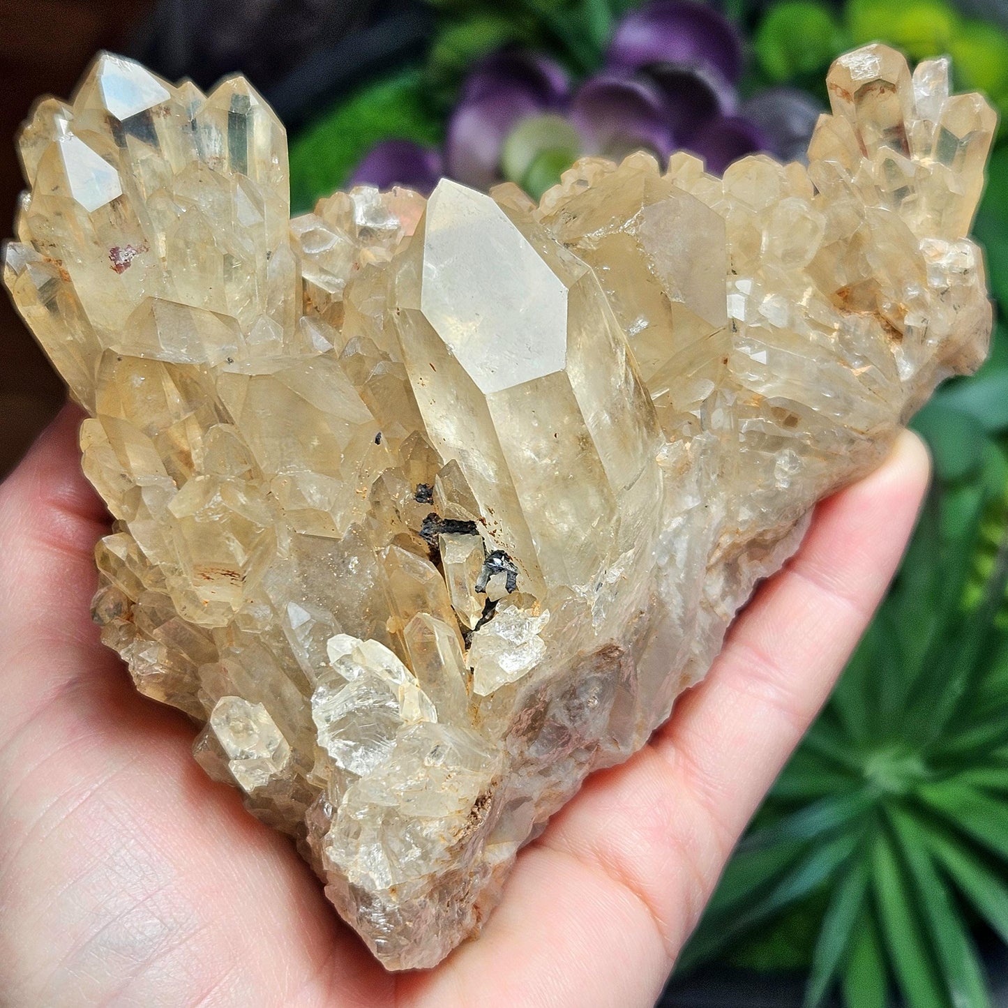 HUGE Kundalini Citrine