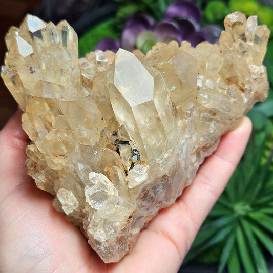 HUGE Kundalini Citrine