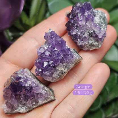 Amethyst Crystal Cluster