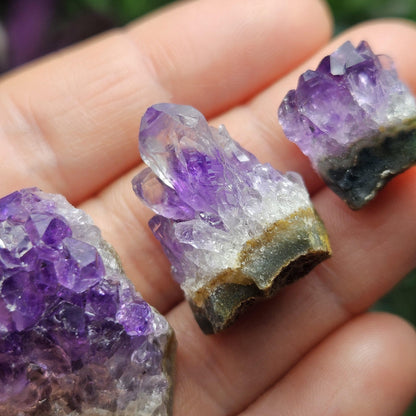 Amethyst Crystal Cluster