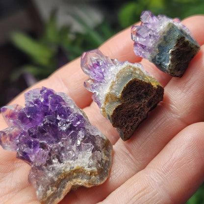Amethyst Crystal Cluster
