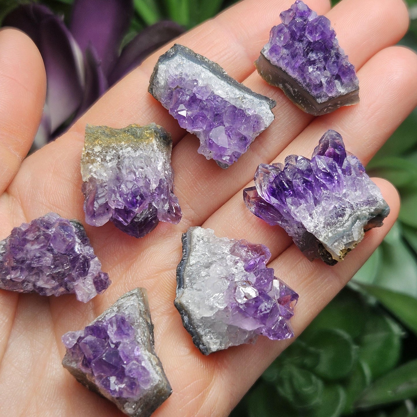 Amethyst Crystal Cluster