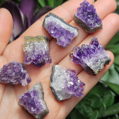 Amethyst Crystal Cluster