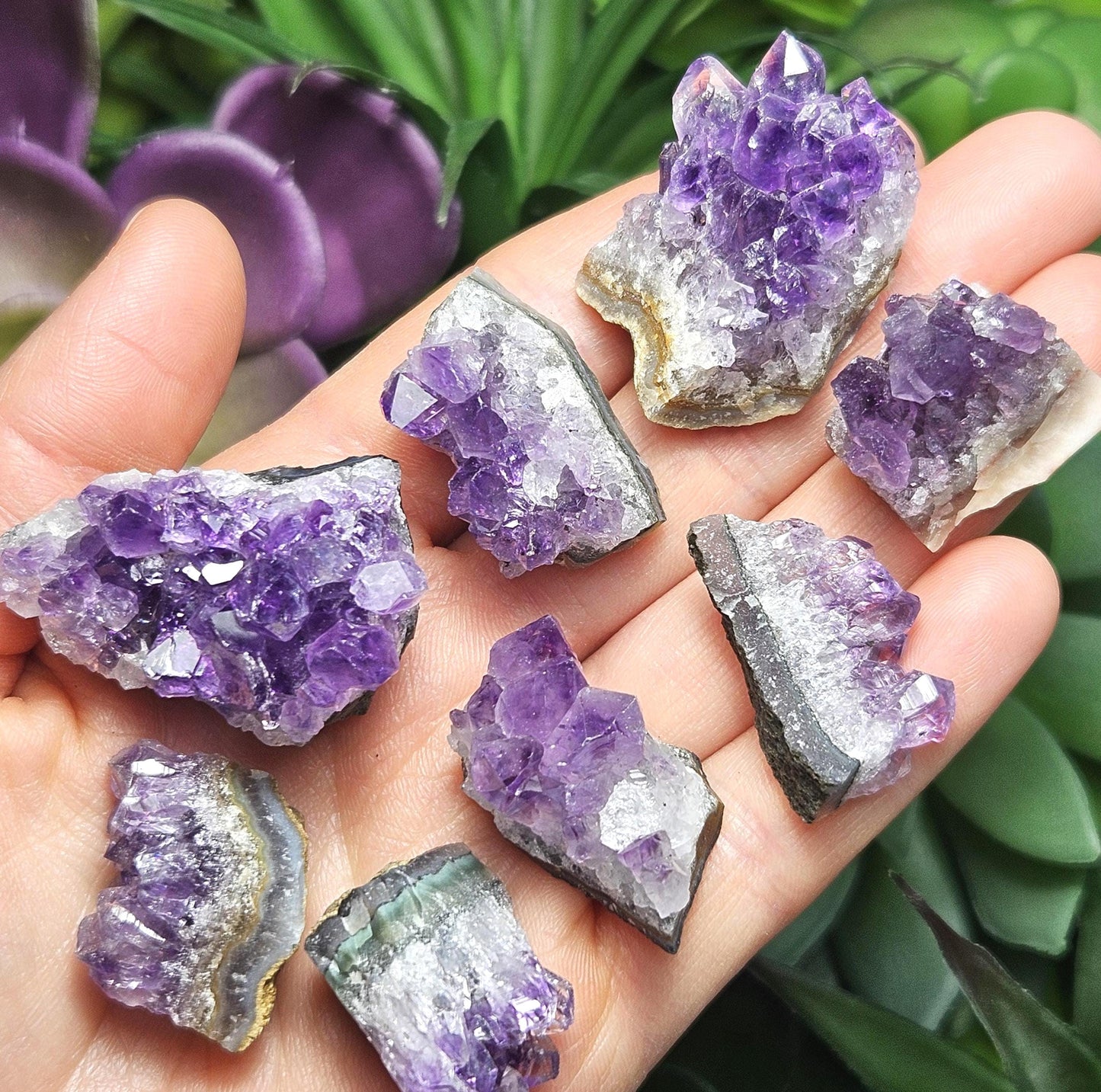 Amethyst Crystal Cluster