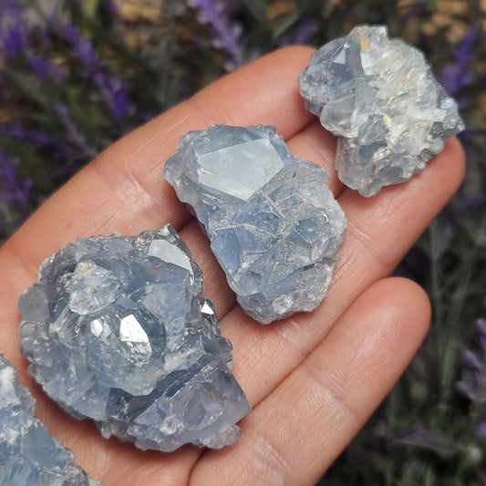 Celestite Cluster