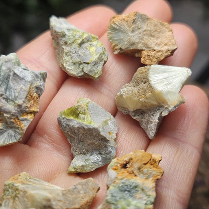 Wavellite Crystal Specimen, Raw Radial Arkansas Stone