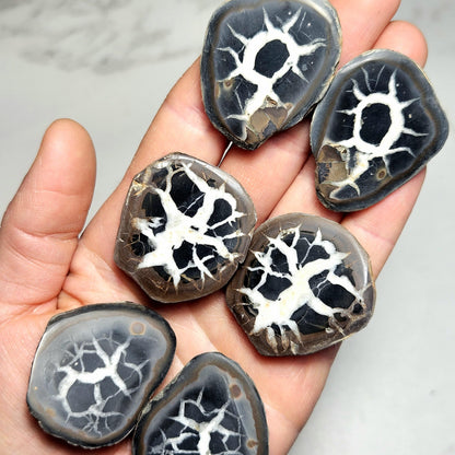 Dragon Egg Crystal Pair
