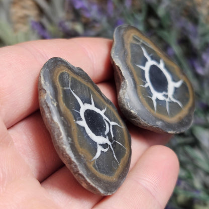 Dragon Egg Crystal Pair