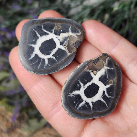 Dragon Egg Crystal Pair