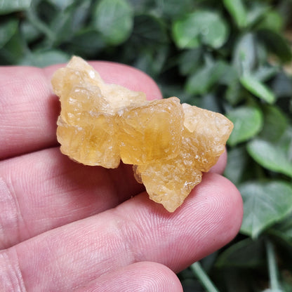 Yellow Fluorite Cluster