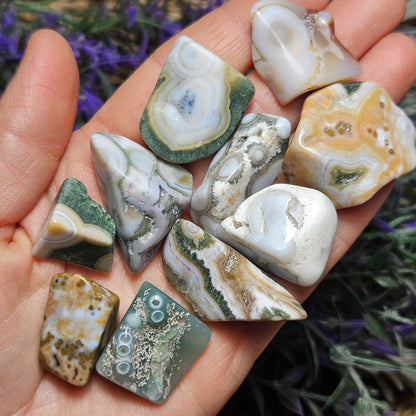 Orbicular Ocean Jasper / Ocean Jasper / Ocean Jasper Palm / Ocean Jasper Crystal / Ocean Jasper Stone / Natural Ocean Jasper / Jasper Palm