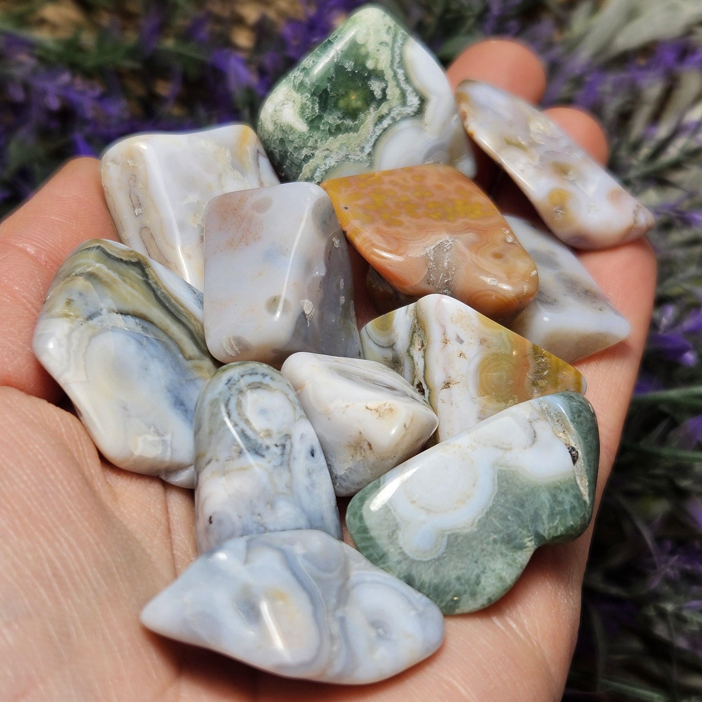 Orbicular Ocean Jasper / Ocean Jasper / Ocean Jasper Palm / Ocean Jasper Crystal / Ocean Jasper Stone / Natural Ocean Jasper / Jasper Palm
