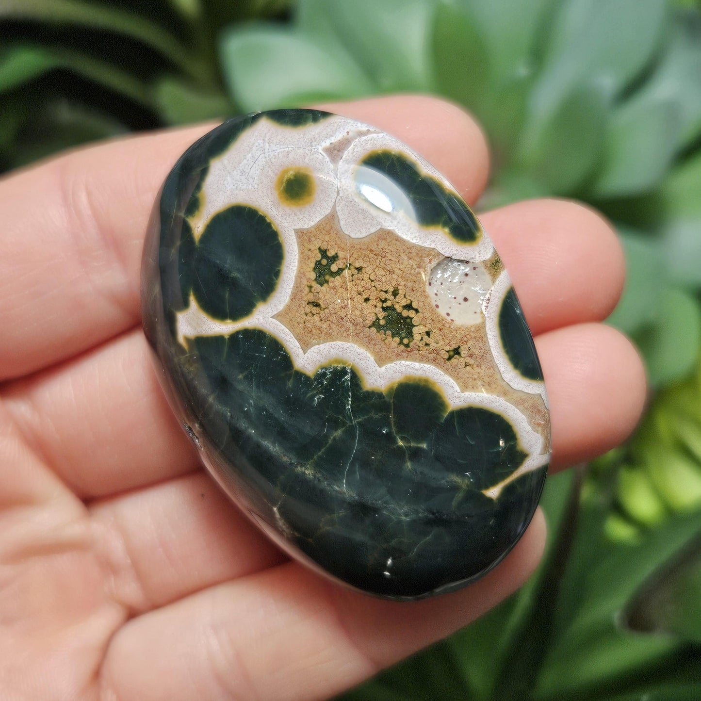 Ocean Jasper Palm Stone