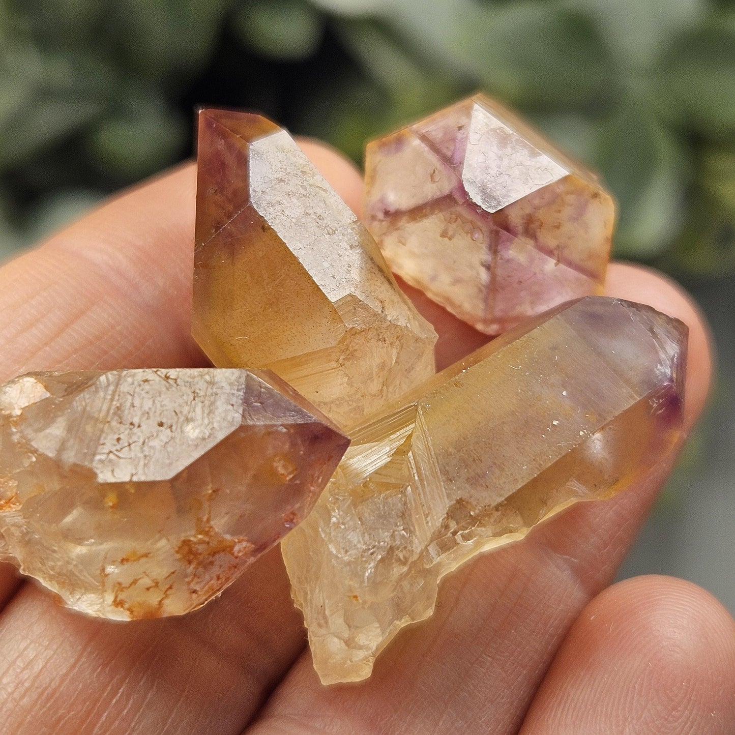 Trapiche Amethyst Quartz