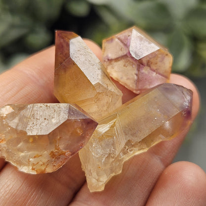 Trapiche Amethyst Quartz