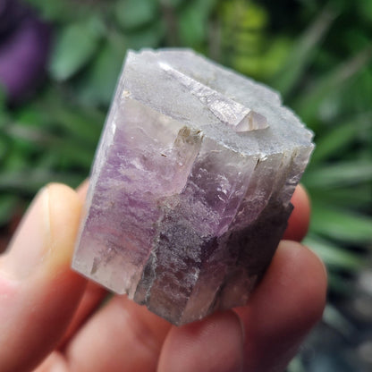 Purple Aragonite