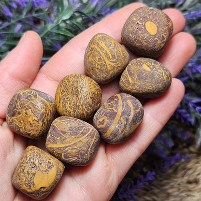 Sanskrit Stone