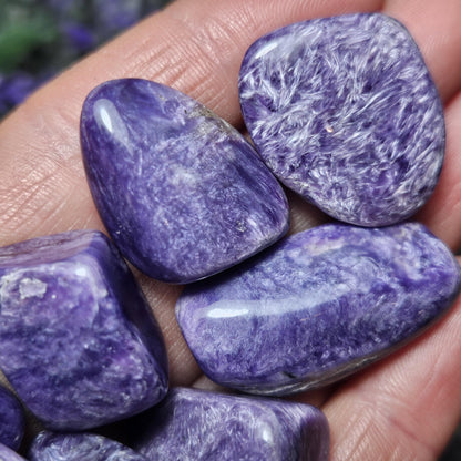 High Quality Charoite