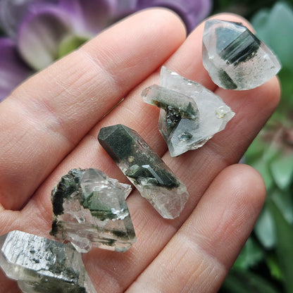 Green Phantom Himalayan Quartz