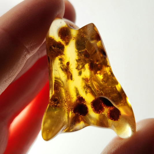 MOVING Enhydro AMBER with Bugs