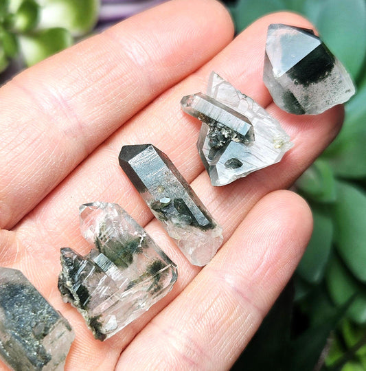 Green Phantom Himalayan Quartz