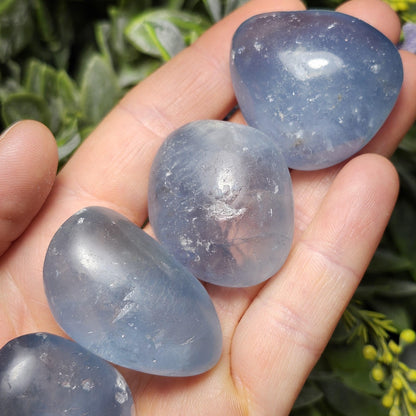 Polished Celestite Crystal