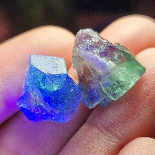 May include: Two fluorite crystals, one blue and one green. The blue crystal is a cube shape and the green crystal is a pyramid shape.