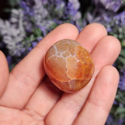 Snakeskin Carnelian Crystal (1")