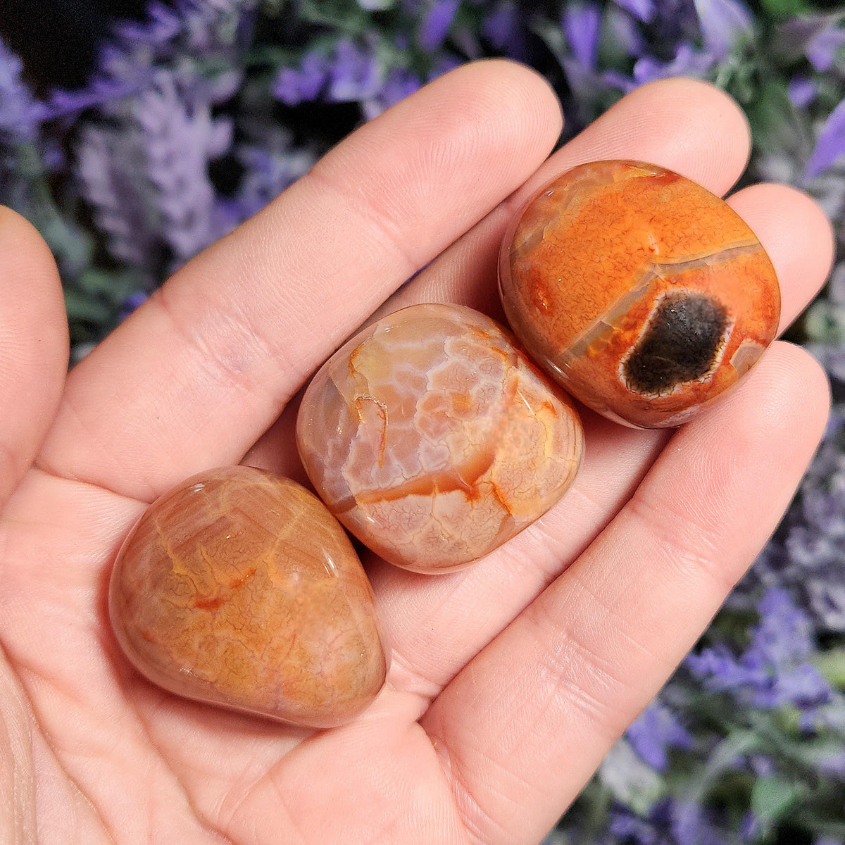 Snakeskin Carnelian Crystal (1")