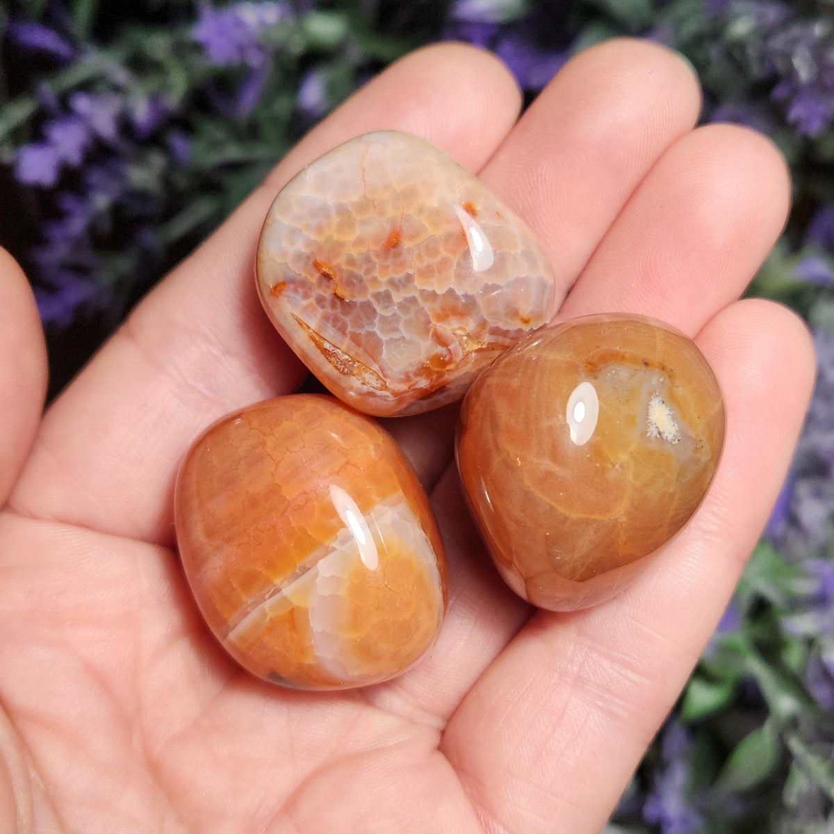 Snakeskin Carnelian Crystal (1")