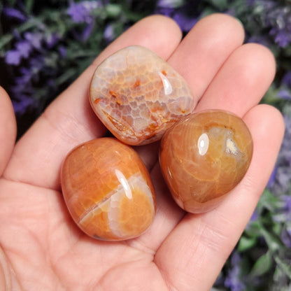 Snakeskin Carnelian Crystal (1")