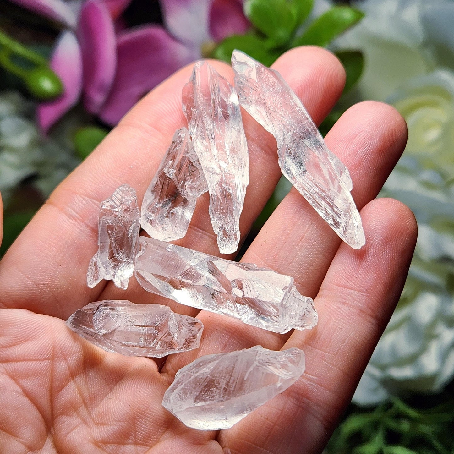 Lemurian Root Crystal