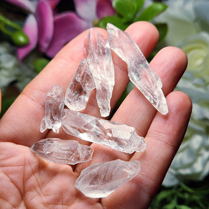 Lemurian Root Crystal